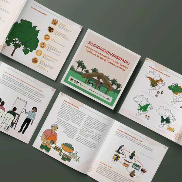 Páginas das cartilhas educativas do Programa REM MT