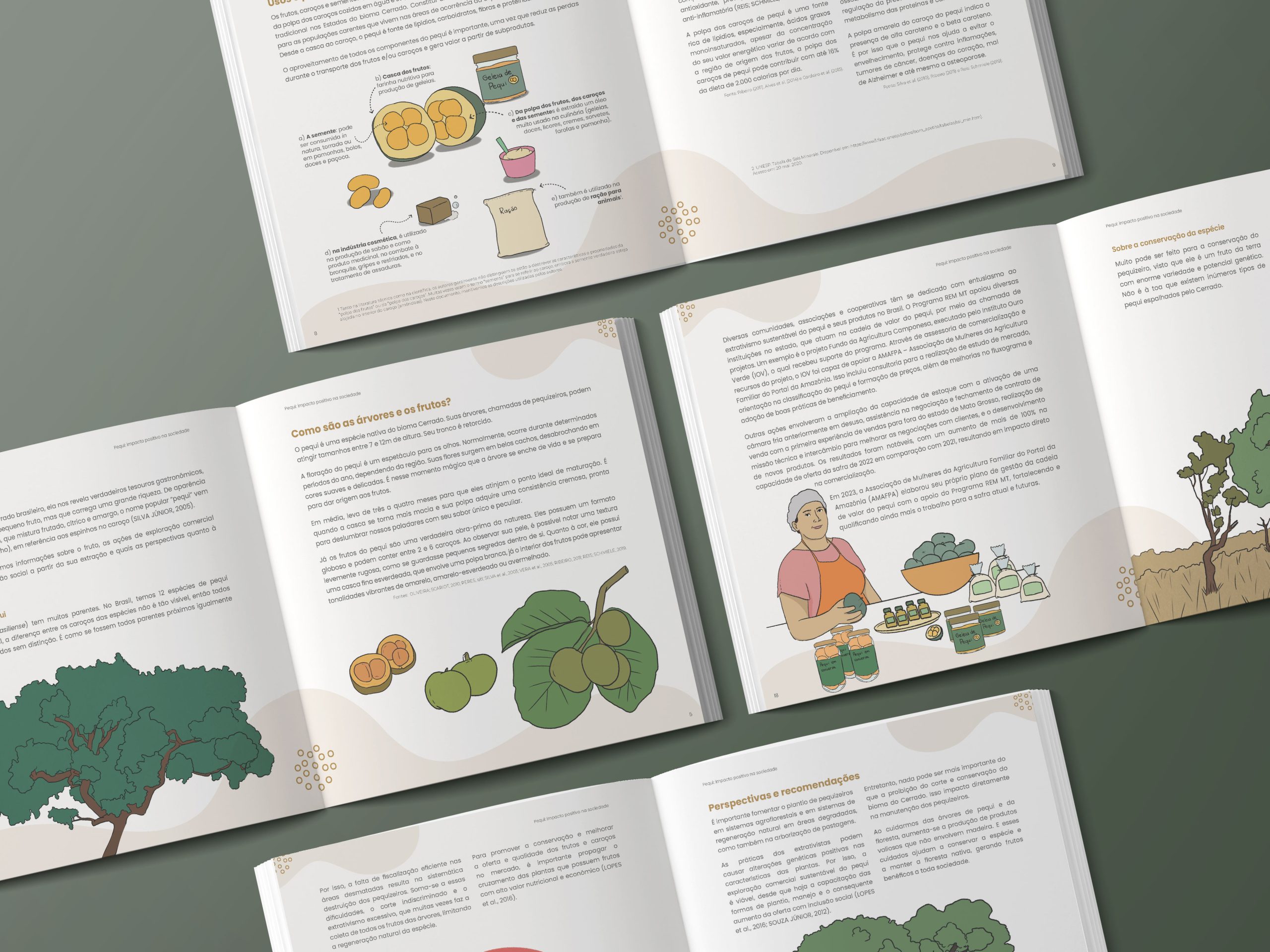 Páginas das cartilhas do Programa REM MT com ilustrações de frutos e plantas
